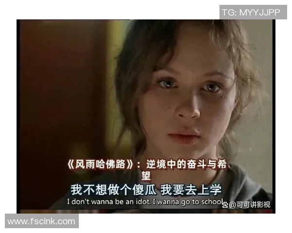 景菡一的成长之路：从平凡到卓越的奋斗故事与人生哲学